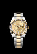 Rolex Sky-Dweller Oyster, 42 mm, Oystersteel and yellow gold M336933-0001